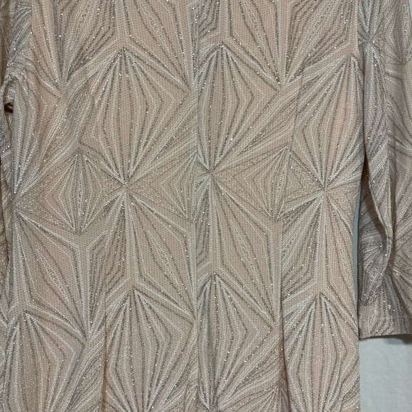JH EVENINGS FORMAL LIGHT PEACH / PINKISH WITH SILVER METALIC DRESS SIZE 16 NWT - Picture 9 of 15